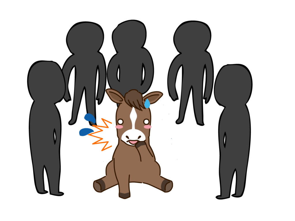 蹄鉄打ち換えではずかしい