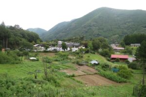道の駅こすげ 景色(田畑)