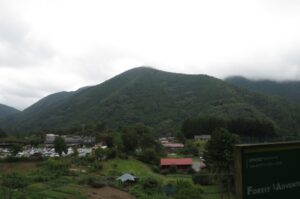 道の駅こすげ 景色(山)